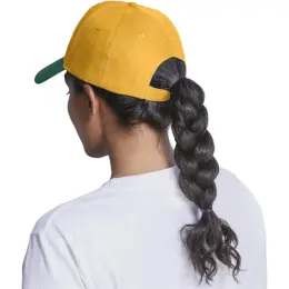 Fanflare Cap - 5 Panel Model Back